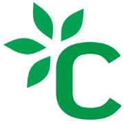 Chai UI: Brew AI Apps Fast